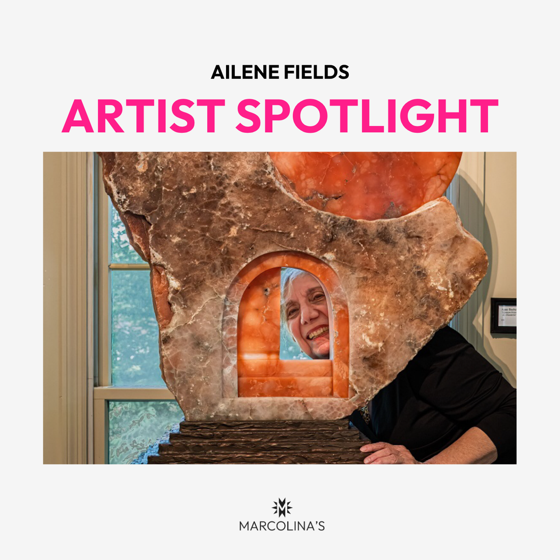 Artist Spotlight: Ailene Fields