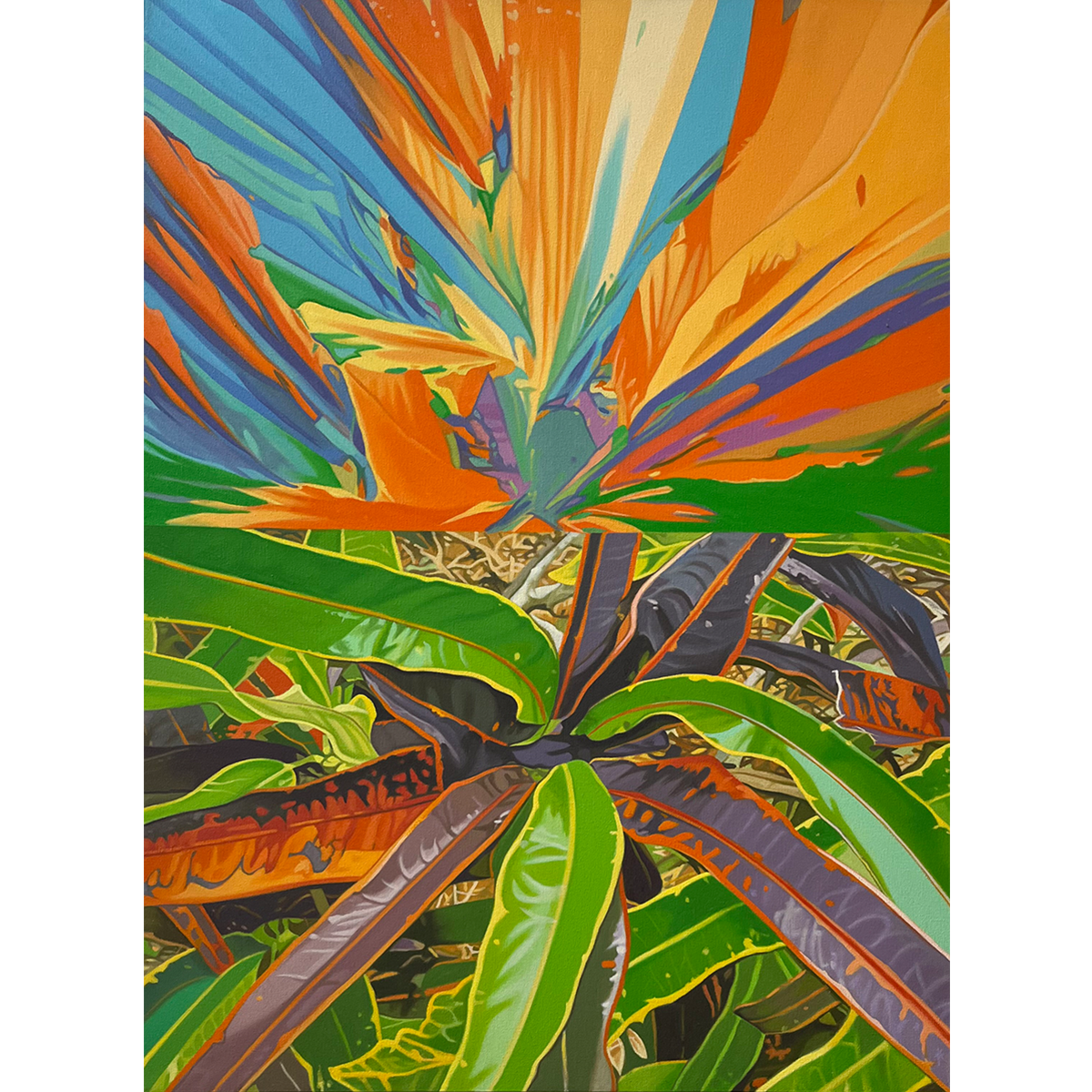 CROTONS SUNRISE