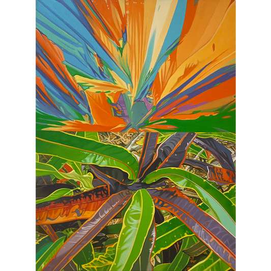 CROTONS SUNRISE