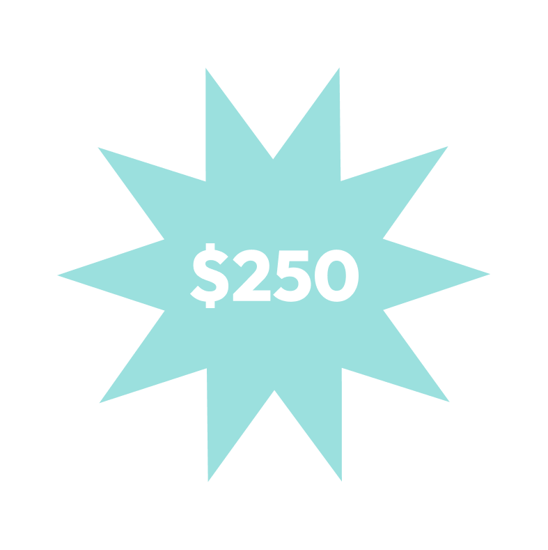 $250 Donation