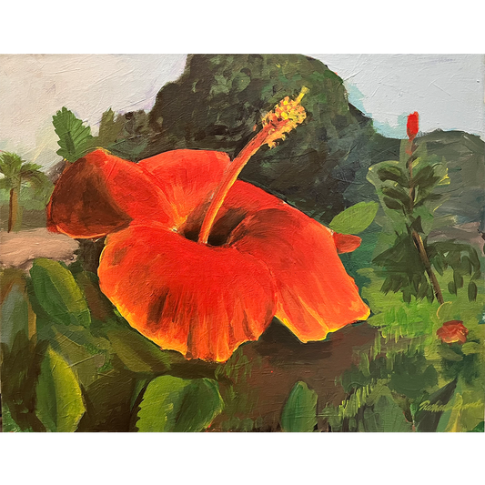 HIBISCUS
