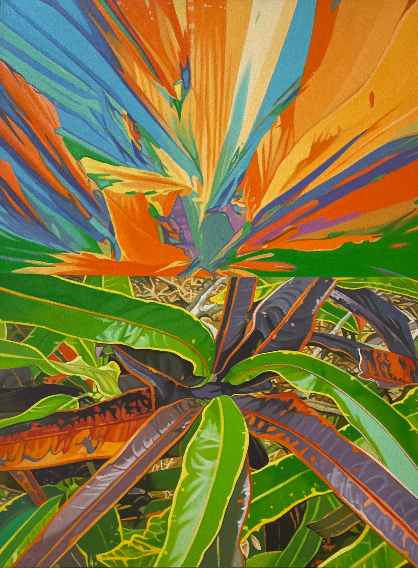 CROTONS SUNRISE