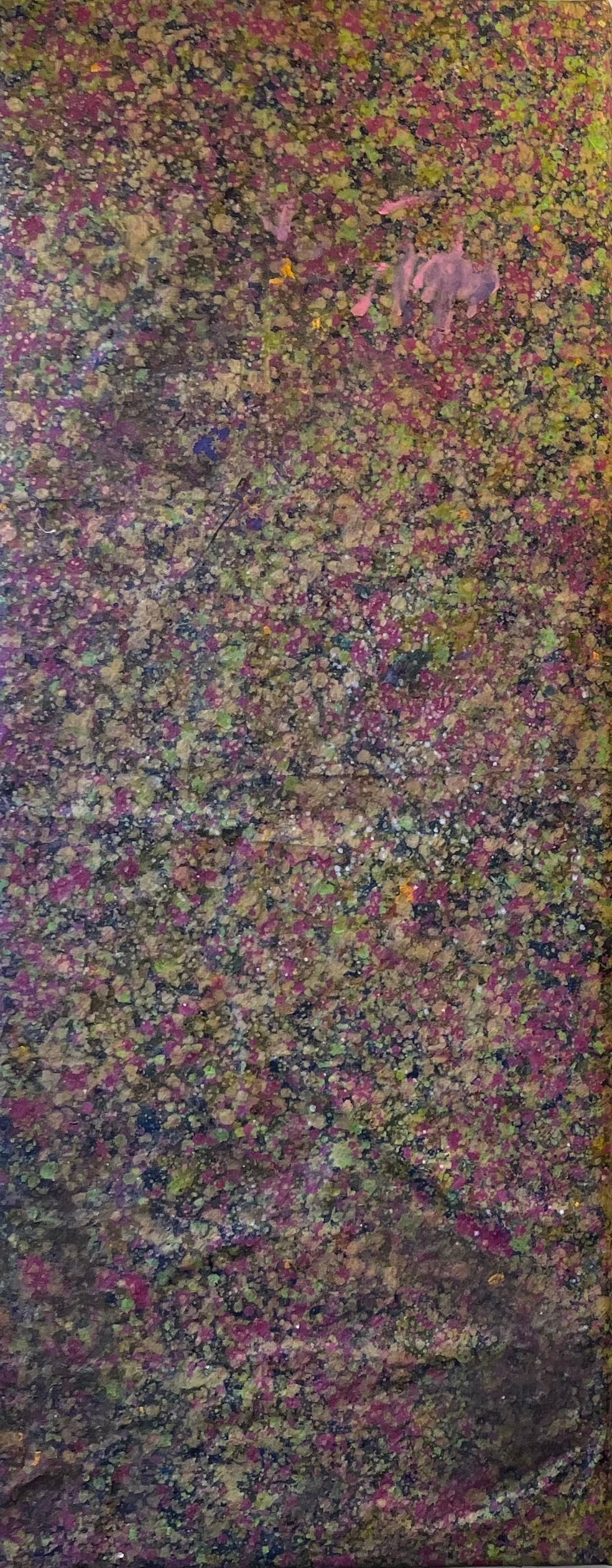 NEBULA #14