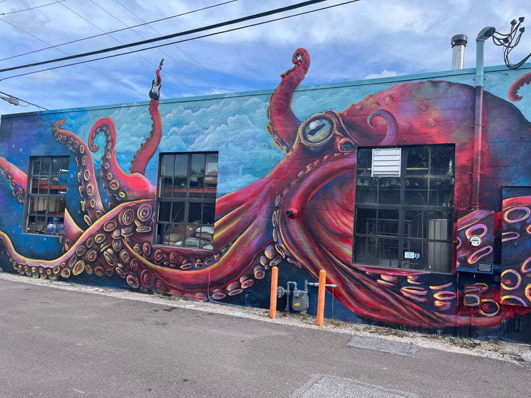 Custom wall mural by Marcolina's Fine Arts Gallery Tampa Bay artist