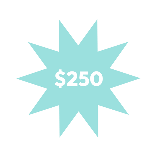 $250 Donation