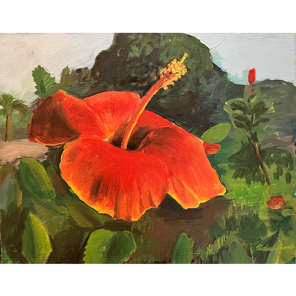 HIBISCUS